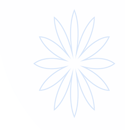 大满贯安全登录入口 - 官方服务体系